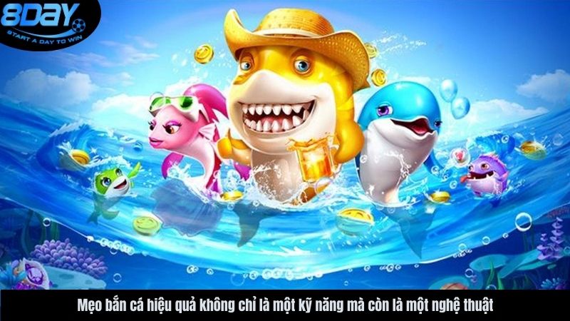 meo-ban-ca